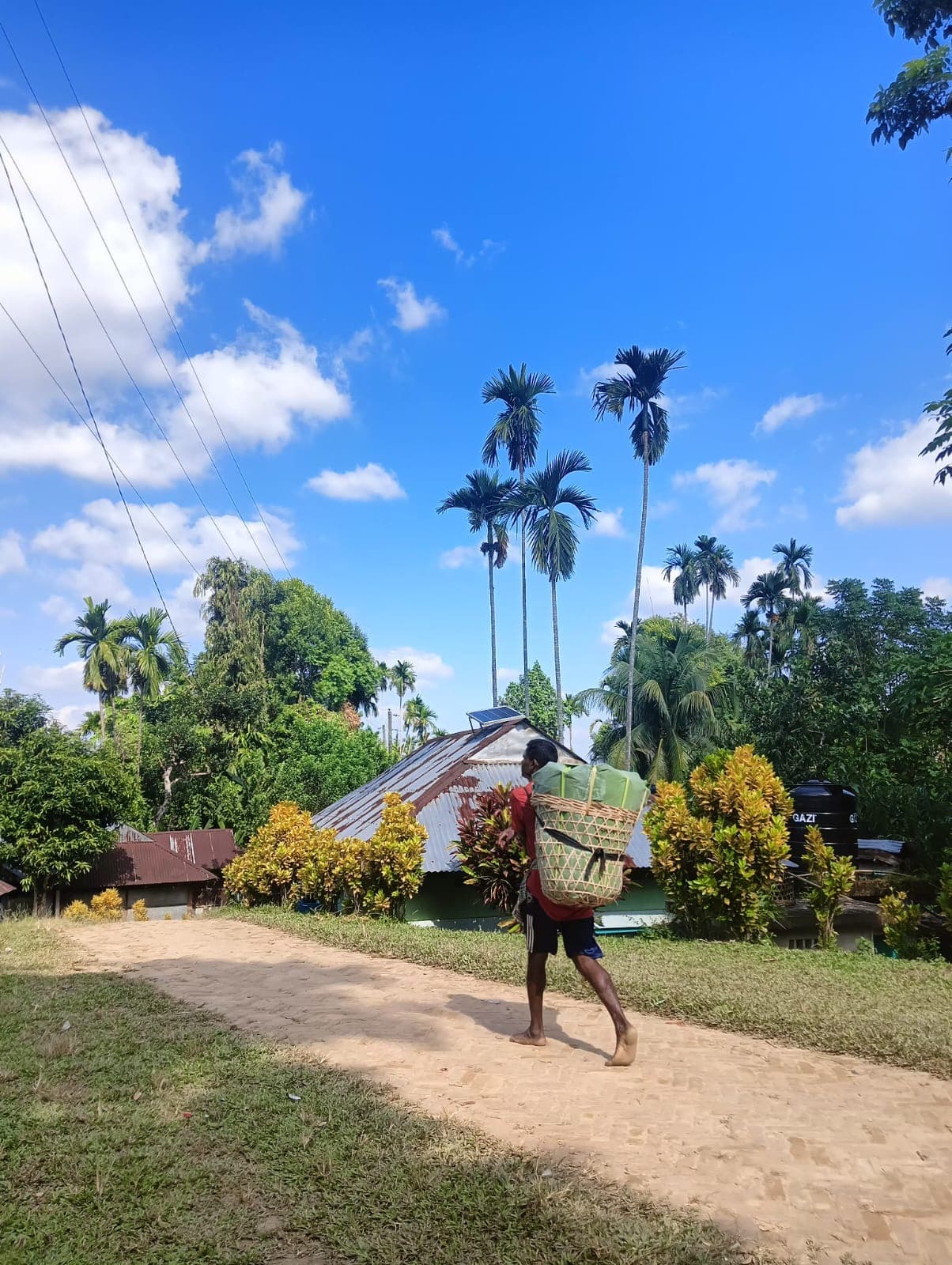 Featured Project Visual